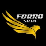 @forropvcsilva_